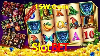 Slotbet Brasília - Leaderboards